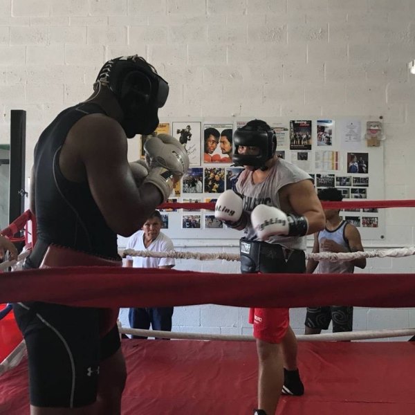 Мусадилов продолжает подготовку к дебютному бою на профи-ринге в США