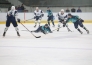 Фоторепортаж с матча ВХЛ «Торпедо» — «Торос» 5:1