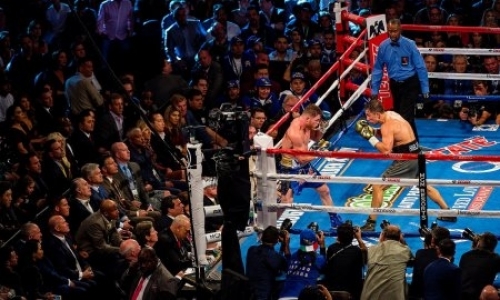 Головкин назвал желаемое количество боев в году