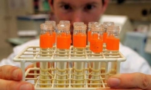 Координатор КФБ рассказала о новшествах WADA