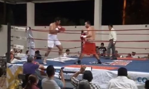 Видео нокаута в победном бою Мусадилова