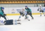 Фоторепортаж с матча МХЛ «Алтай» — «Снежные Барсы» 4:3