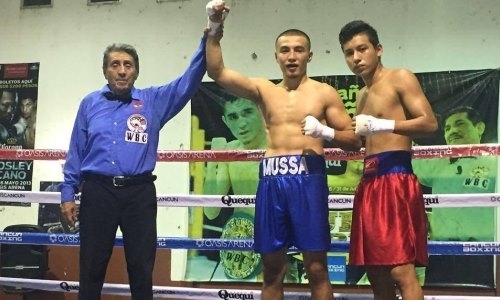 Турсынгалиев одержал седьмую победу на профи-ринге за 22 дня