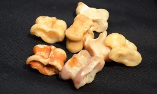 Асык ату вошел в список культурного наследия ЮНЕСКО