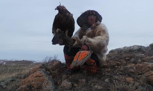 Казахстанец победил на первом международном турнире беркутчи в Бурабае