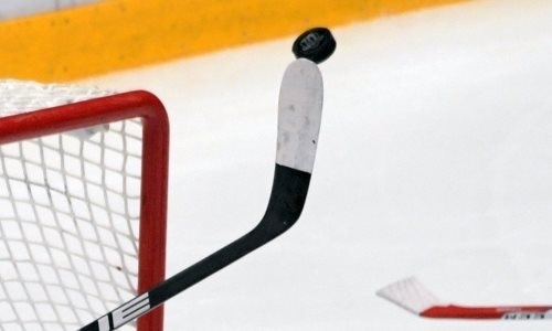 Женскую хоккейную лигу может пополнить команда «Барыса»