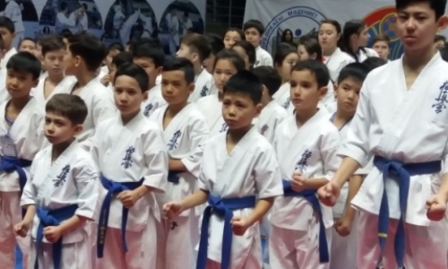 В Астане проходит международный турнир по киокушинкай-кан каратэ