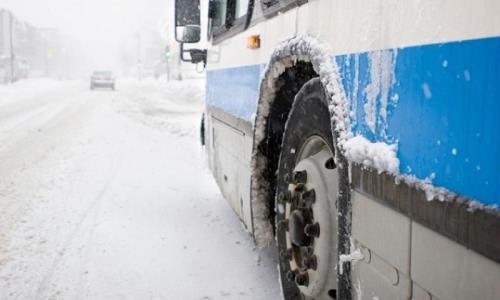 Автобусы с хоккеистами застряли в Павлодарской области