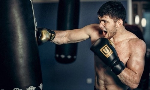 Али Ахмедов: «После Нового года планируем лететь в Нью-Йорк на переговоры с HBO»