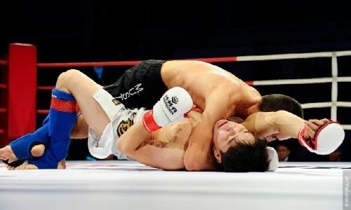 Файтеры из Бахрейна и Австралии хотят тренироваться в Казахстане