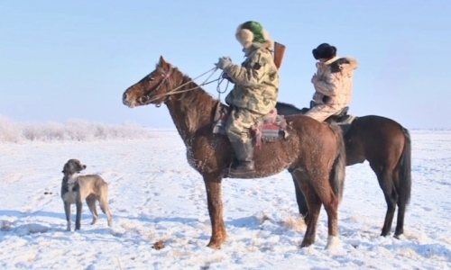 Любители конного спорта организовали своеобразный флешмоб в Павлодаре