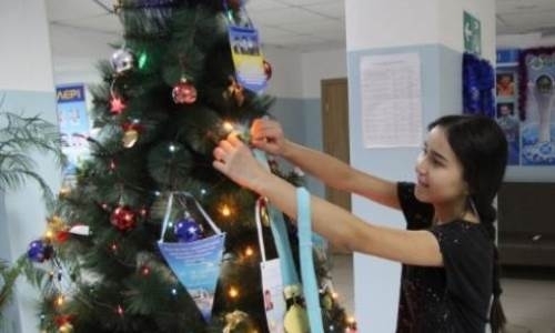 Балхашские спортсмены украсили ёлку своими наградами