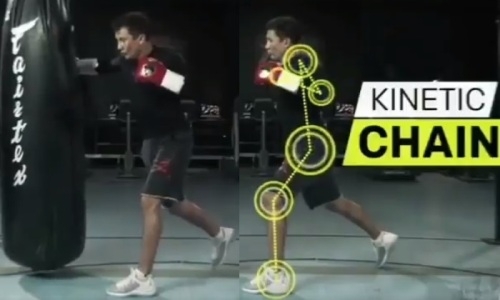 «За силой стоит наука». СМИ восхищаются силой ударов Головкина