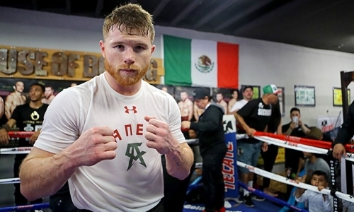 Журналист считает, что Альварес целиком посвятит 2018 год Головкину