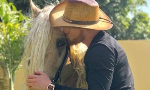 Боец ММА назвал свою лошадь в честь соперника Головкина «Канело»