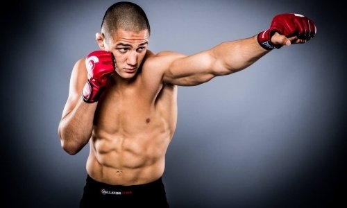 Боец ММА недоволен судейством первого боя Головкин — Альварес