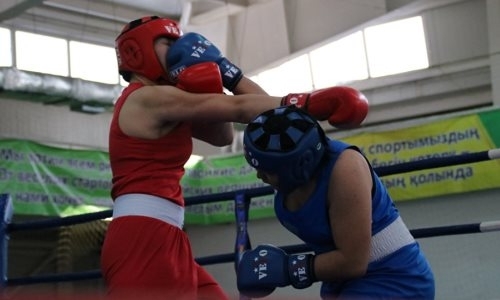 В Алматы определились чемпионки Казахстана по боксу
