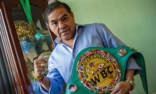 Легенды мексиканского бокса поддержали «Канело» перед реваншем с Головкиным