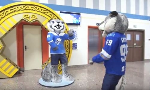 Видео экскурсии по арене «Барыса»