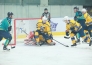 Фоторепортаж с матча ВХЛ «Торпедо» — «Химик» 3:2