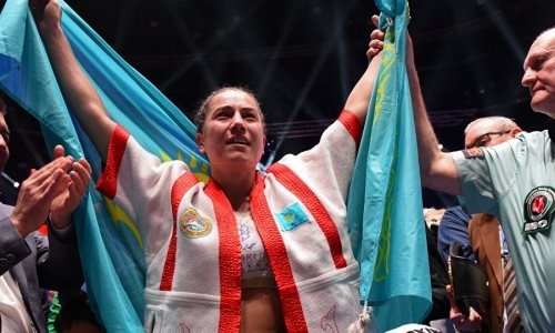 Боксеры стали победителями премии «Народный любимец»