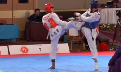 Казахстанские таеквондисты завоевали семь медалей различного образца