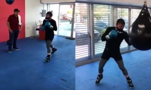 «Версия 2.0». Альварес продолжает улучшать «физику» перед реваншем с Головкиным