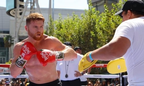 Стал известен план подготовки Альвареса к реваншу с Головкиным