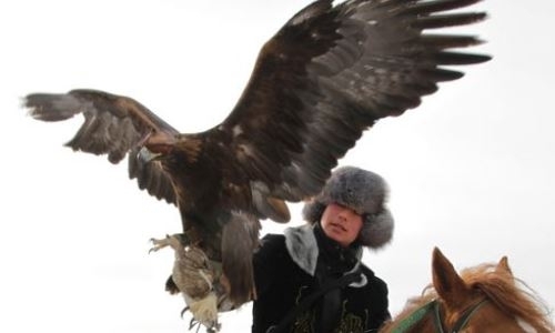 Республиканский турнир беркутчи проходит в Уральске