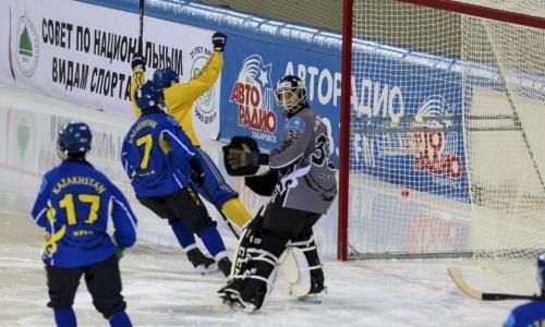 Фоторепортаж матча чемпионата мира-2018 по бенди Швеция — Казахстан 5:4