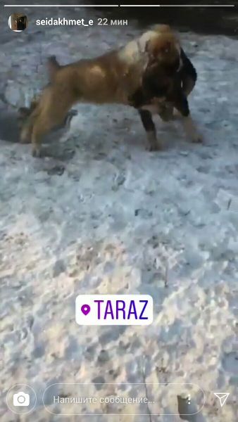 «Казахский Месси» Еркебулан Сейдахмет выложил фото из Тараза