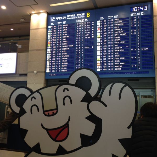 Кто бы мог подумать, что Южная Корея окажется настолько «северной», или Что удалось узнать о столице Белой Олимпиады-2018