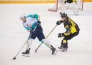 Фоторепортаж с матча ВХЛ «Сарыарка» — «Торпедо» 1:5