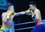 Фоторепортаж с матча WSB «Astana Arlans» — «Patriot Boxing Team» 5:0