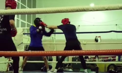 Как Залилов проводил спарринг сразу с двумя боксерами