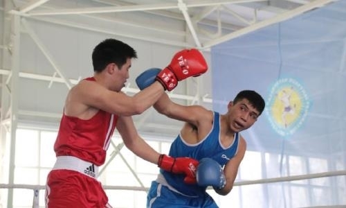Определились лучшие боксеры Алматы
