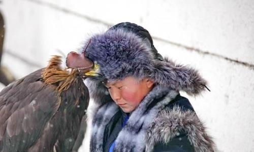 Секретами своего мастерства поделился 13-летний чемпион-беркутчи из Алматинской области