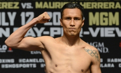 «Брат по несчастью» Альвареса поддержал его перед реваншем с Головкиным