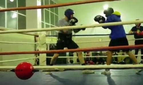 Видео тренировочного раунда Ержана Залилова