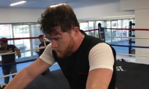 Как Альварес тренируется перед боем с Головкиным