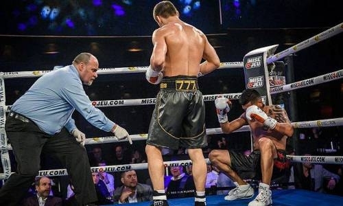 Как боксера назовете… От Панды до Ми Ла Си