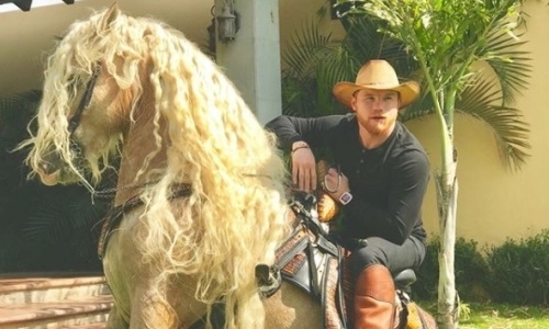 «GGG и „Бегунок“». Как Головкин и «Канело» назвали бы своих лошадей