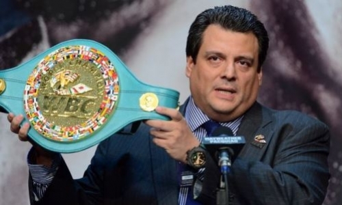 Глава WBC назвал достойного соперника для Головкина