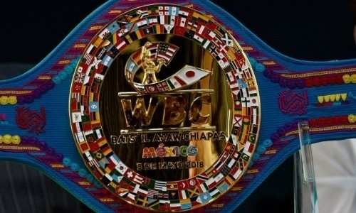 Журналистка примерила специальный пояс боя Головкин — Мартиросян