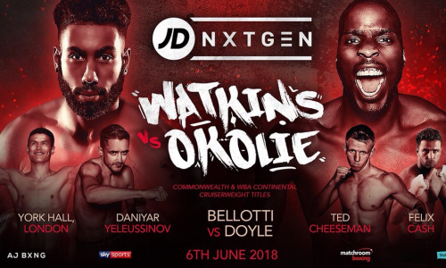 Опубликован официальный постер второго боя Данияра Елеусинова