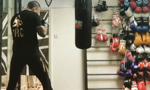 Как боец ММА копировал джеб Головкина