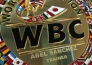 Тренер Головкина получил специальный пояс WBC