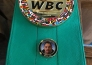 Тренер Головкина получил специальный пояс WBC