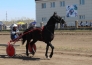 Летний скаковой сезон открыли в Северном Казахстане