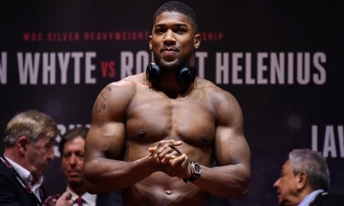 Звезде бокса поставили в пример Геннадия Головкина